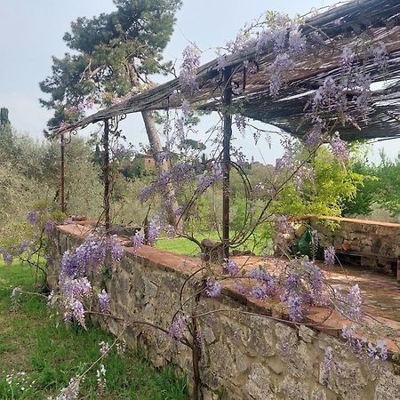 Casa Ezio Marchi Panzió Bettolle Kültér fotó