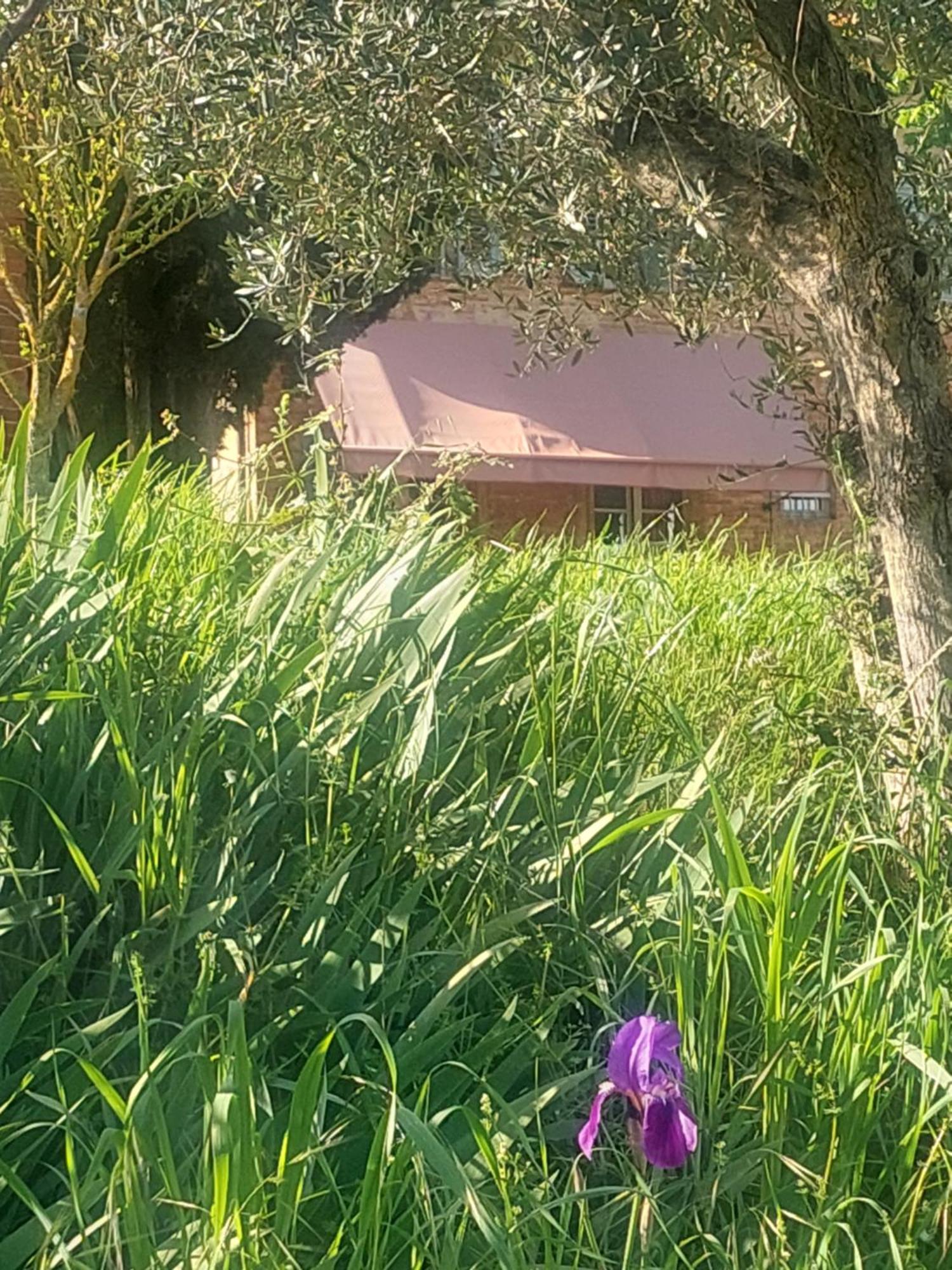 Casa Ezio Marchi Panzió Bettolle Kültér fotó